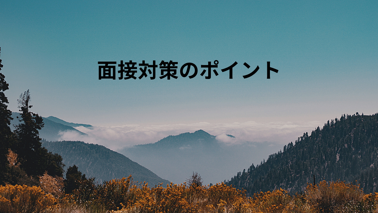 面接対策のポイント
